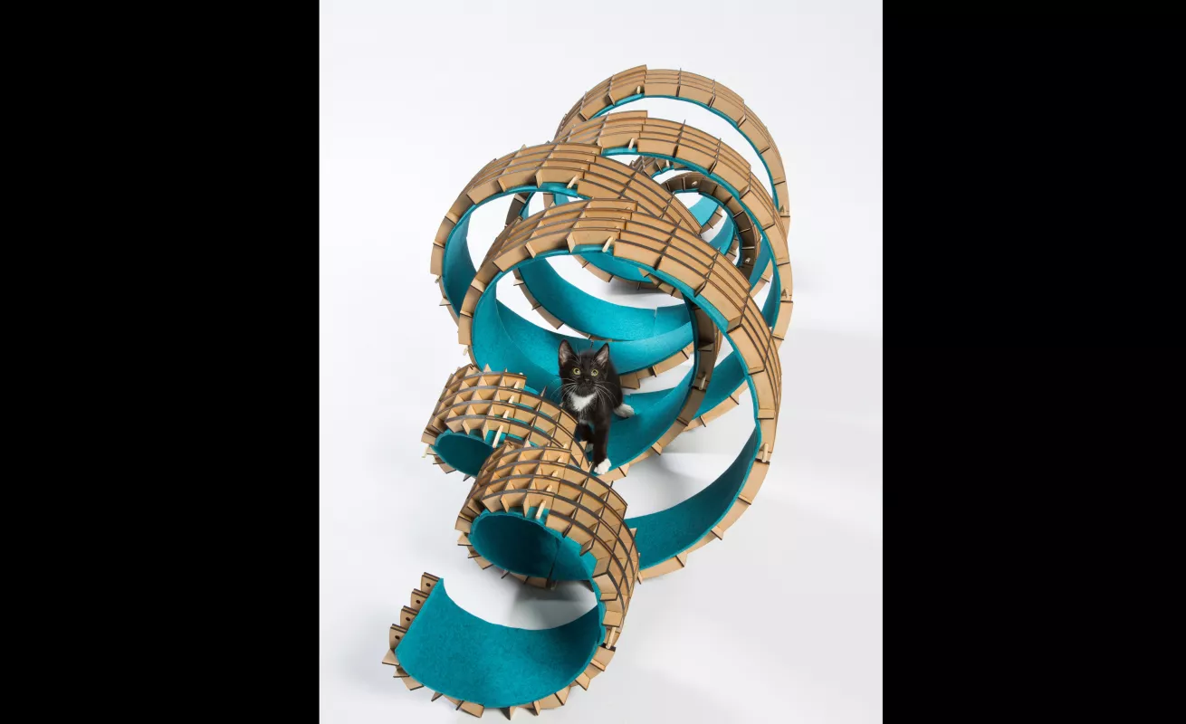 #GaleriaCri Arquitectura para gatos