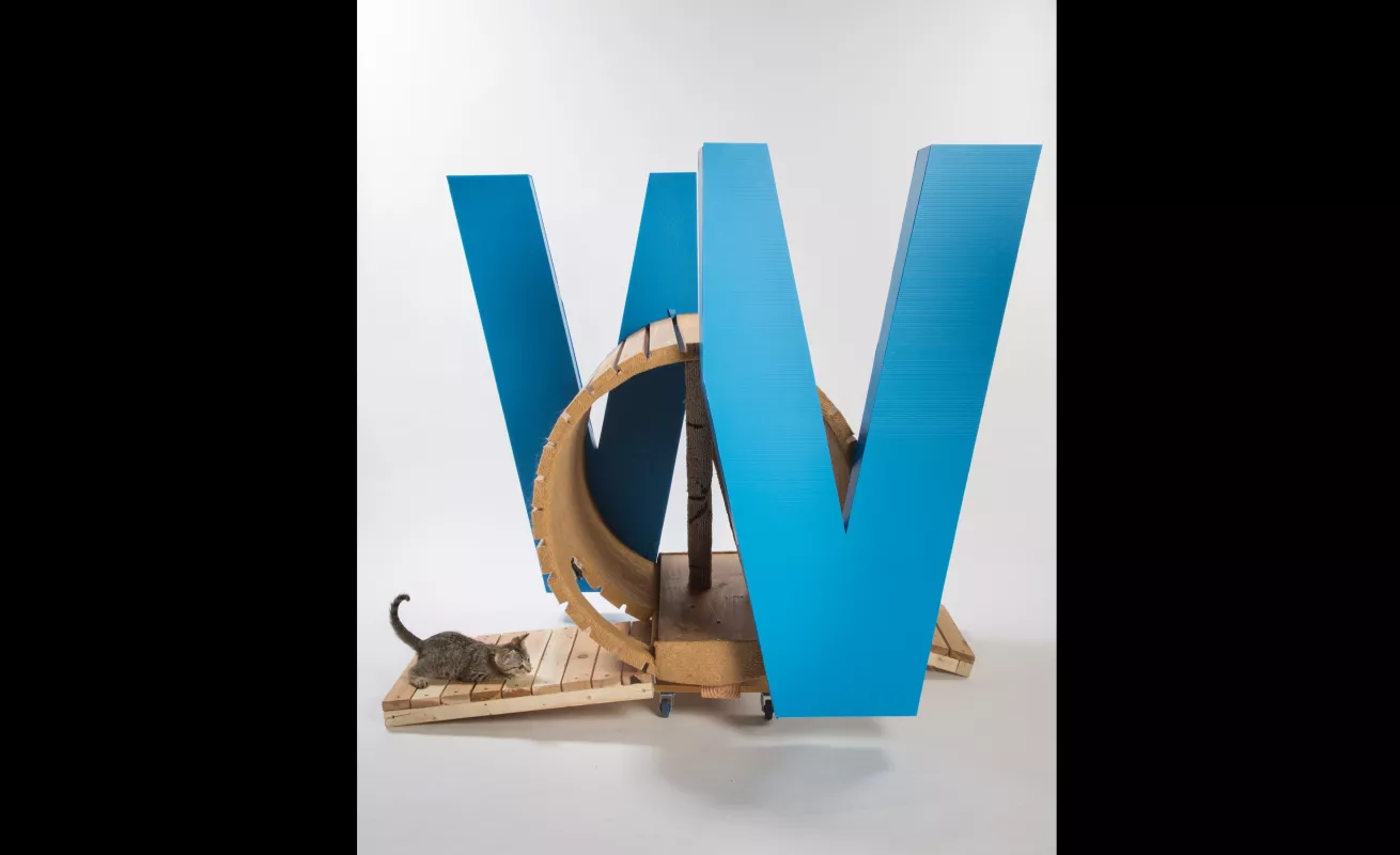 #GaleriaCri Arquitectura para gatos