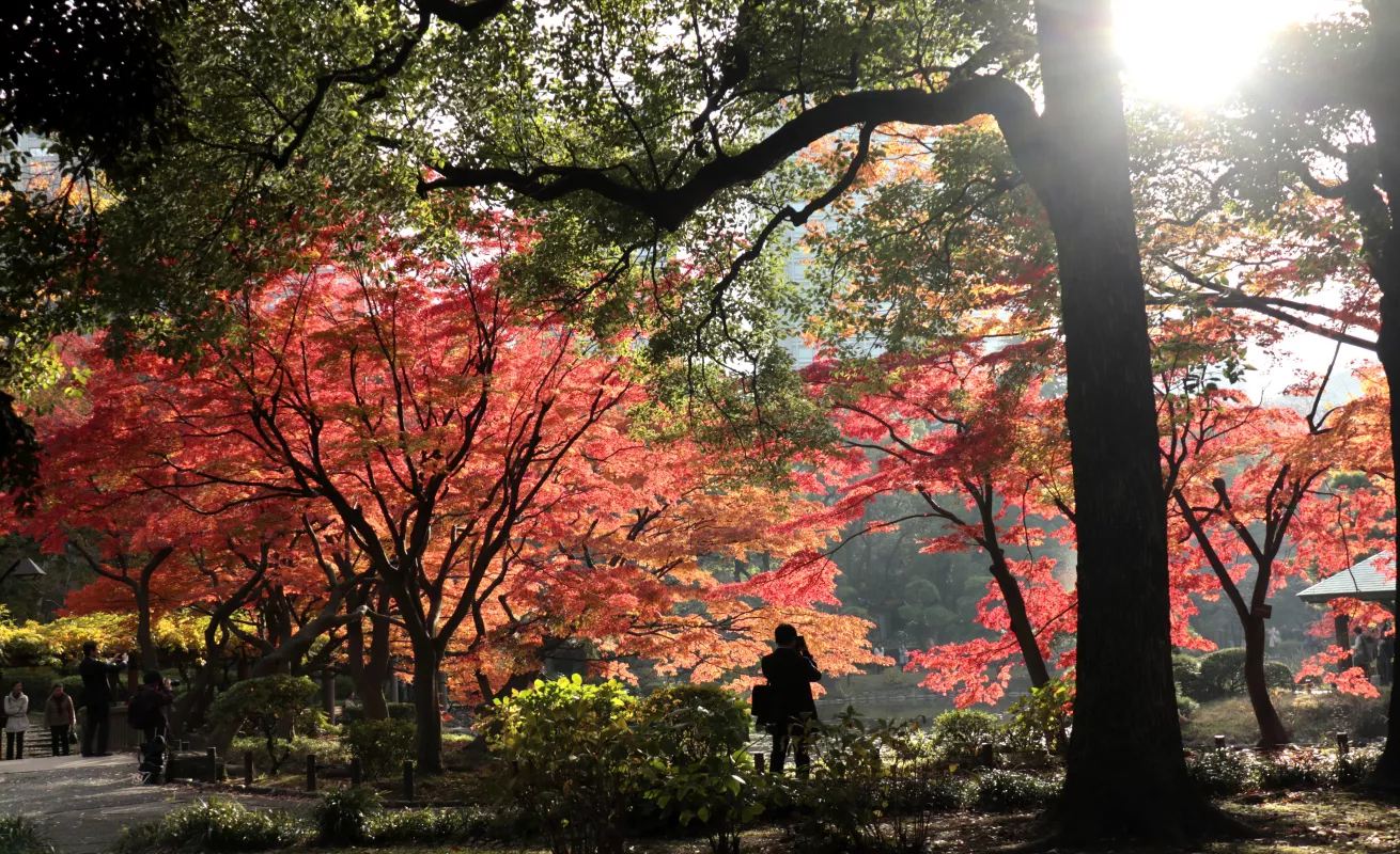 #GaleriaCri Paisajes naturales alrededor del mundo