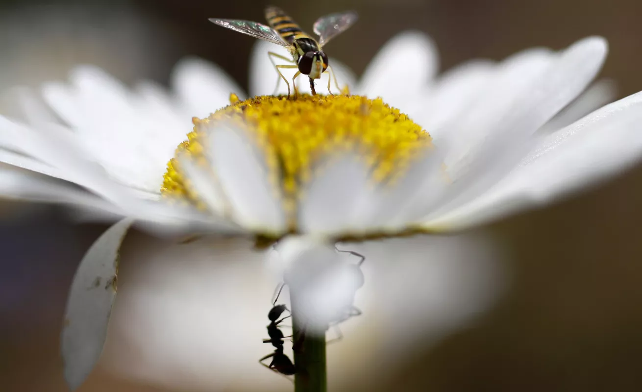 #GaleriaCri Paisajes naturales alrededor del mundo
