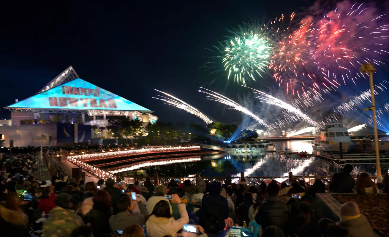 #GaleriaCri Así recibieron el año nuevo algunos países 