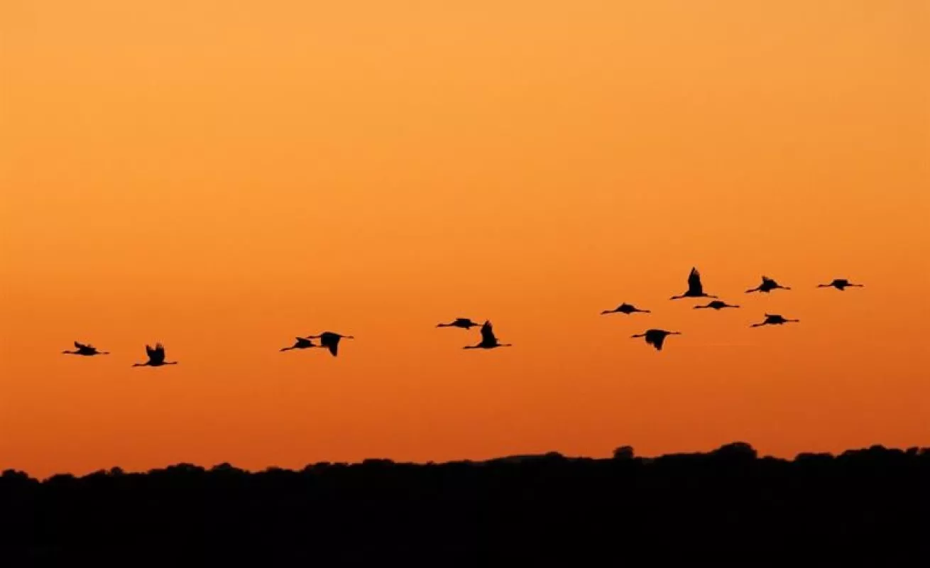 #GaleriaCri Naturaleza, frío y ciudad