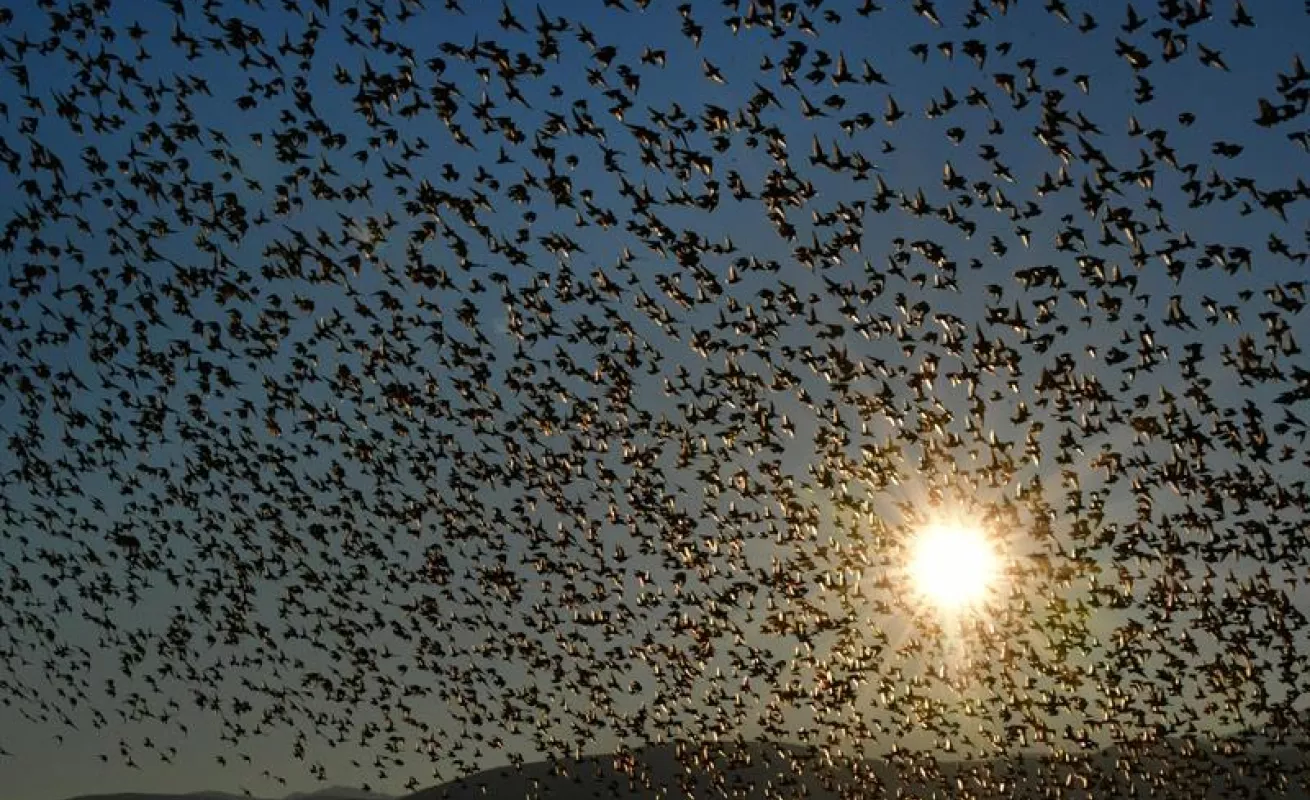 #GaleriaCri Naturaleza, frío y ciudad