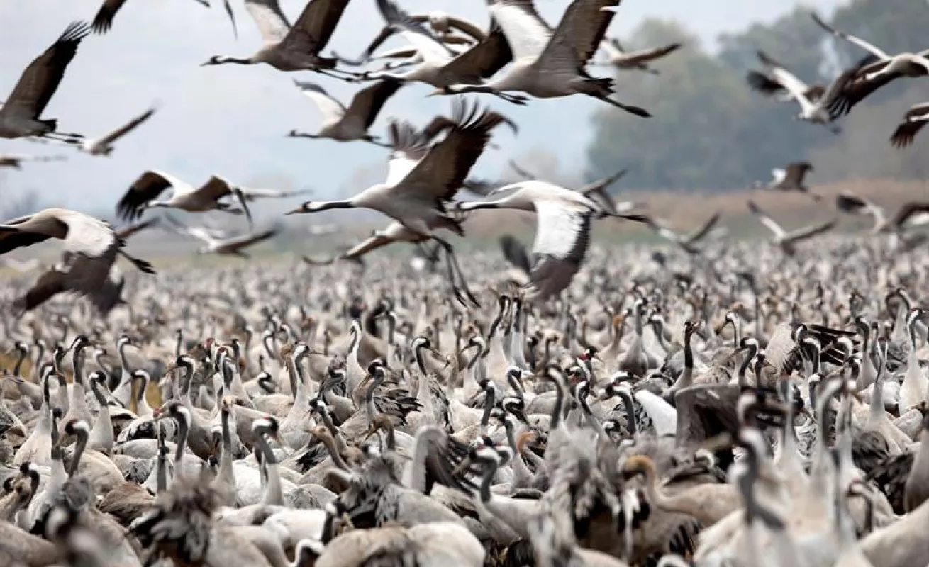 #GaleriaCri Naturaleza, frío y ciudad