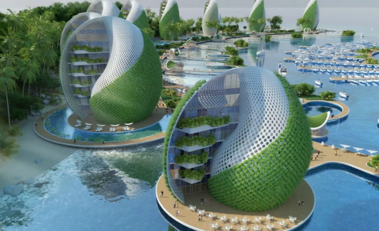 #GaleriaCri Ciudad de los caracoles marinos