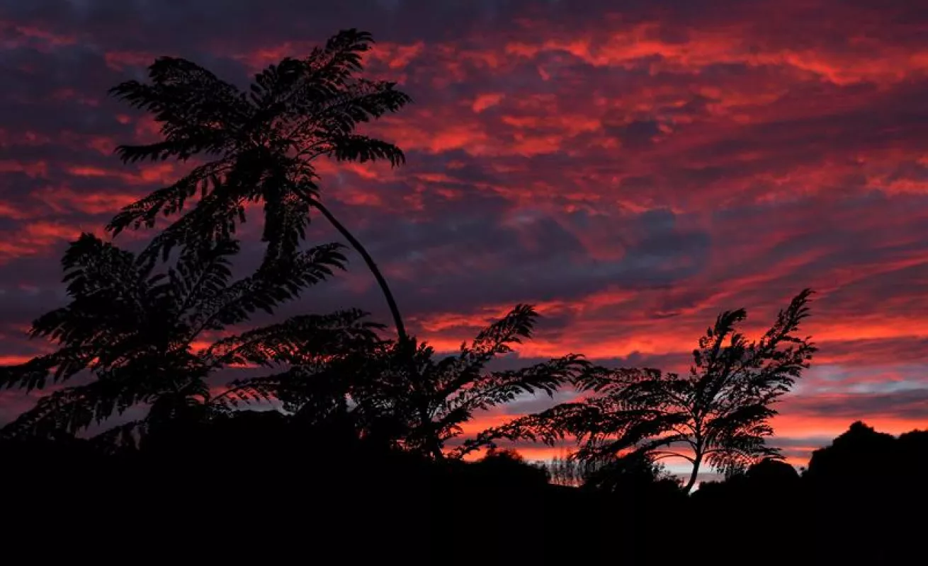 #GaleriaCri Nieve, hielo, agua y contaminación