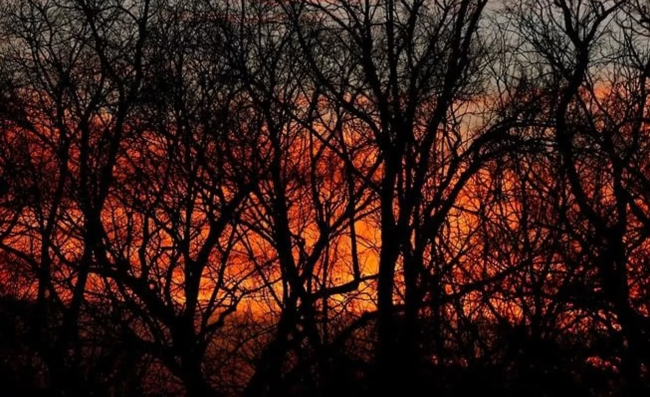 #GaleriaCri Acontecer mundial