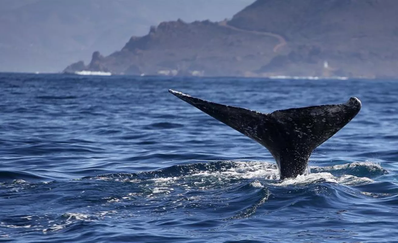 #GaleriaCri Acontecer mundial