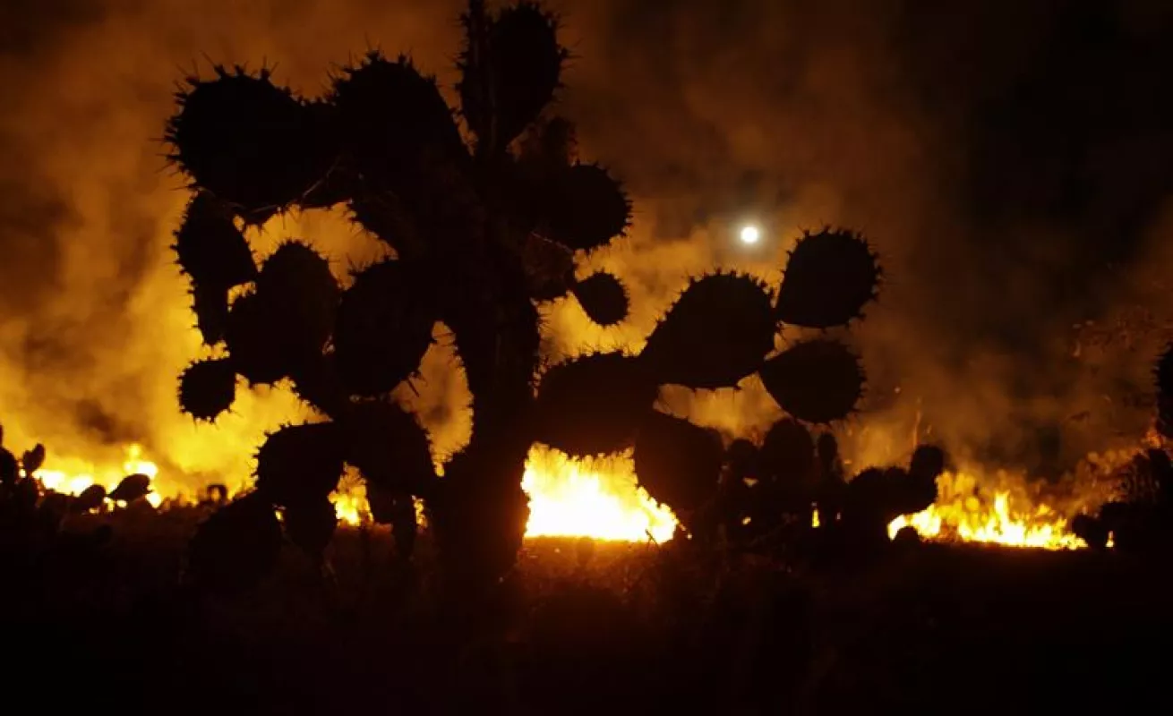 #GaleriaCri Superluna de sangre