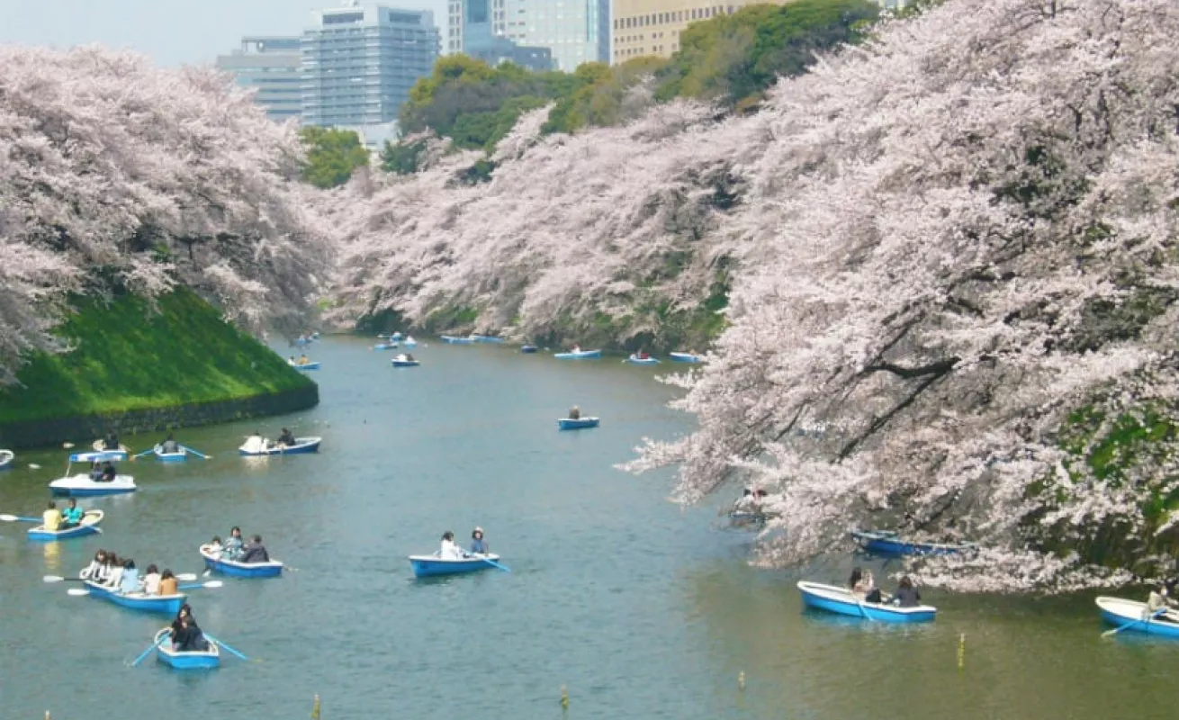 #GaleriaCri Amor en Tokio