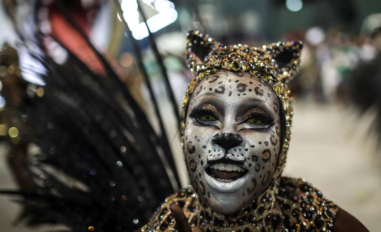#Galería Carnaval en Brasil