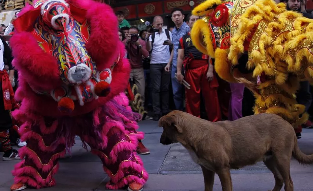 #GaleriaCri Año Nuevo Chino 2018