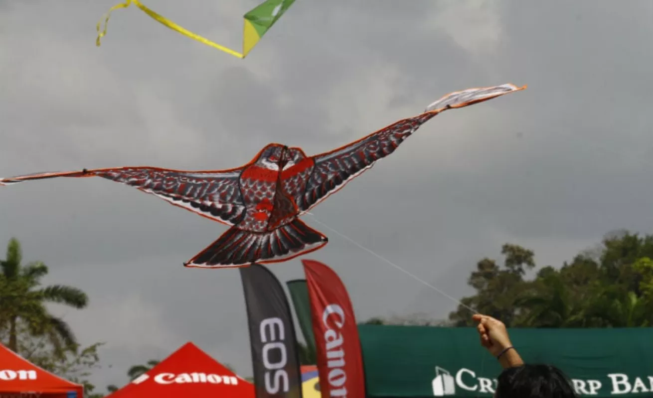 #GaleriaCri Festival de cometas y panderos