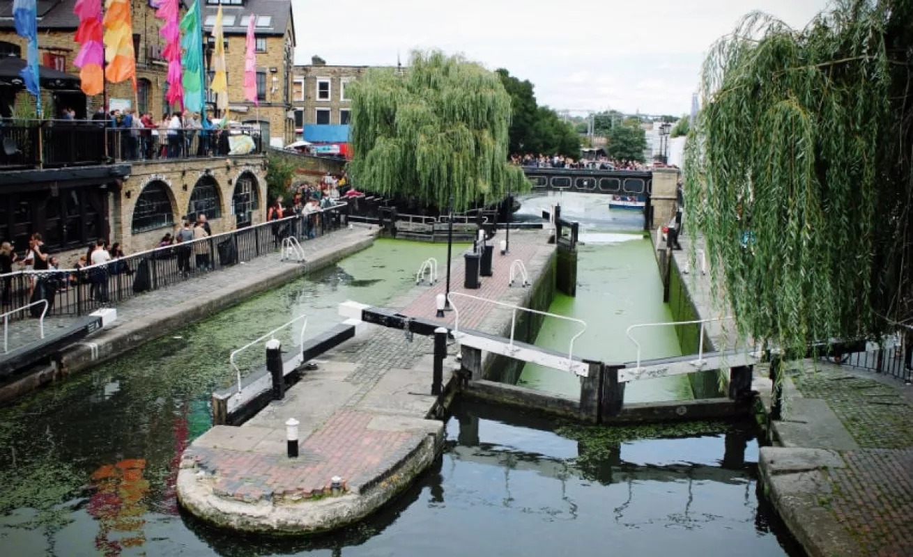 #GaleriaCri Ciudades vegetarianas