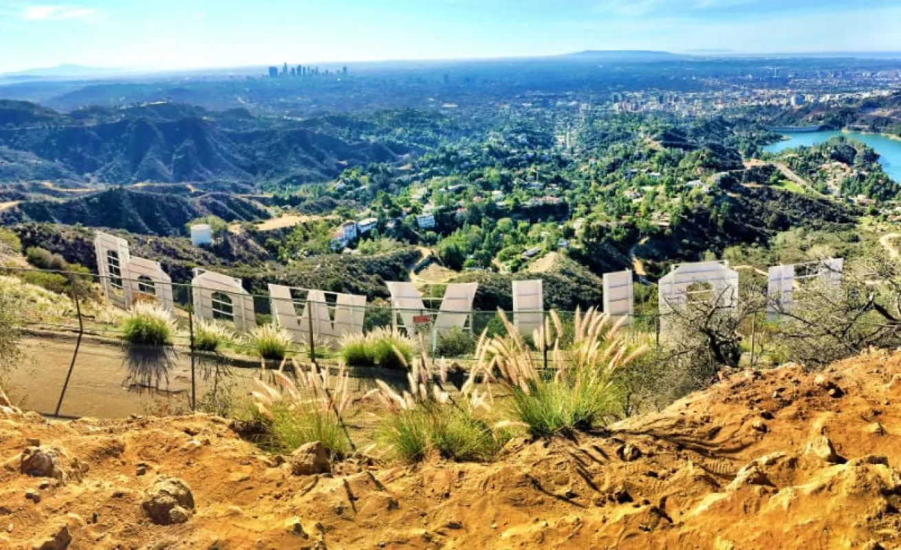 #GaleriaCri Ciudades vegetarianas