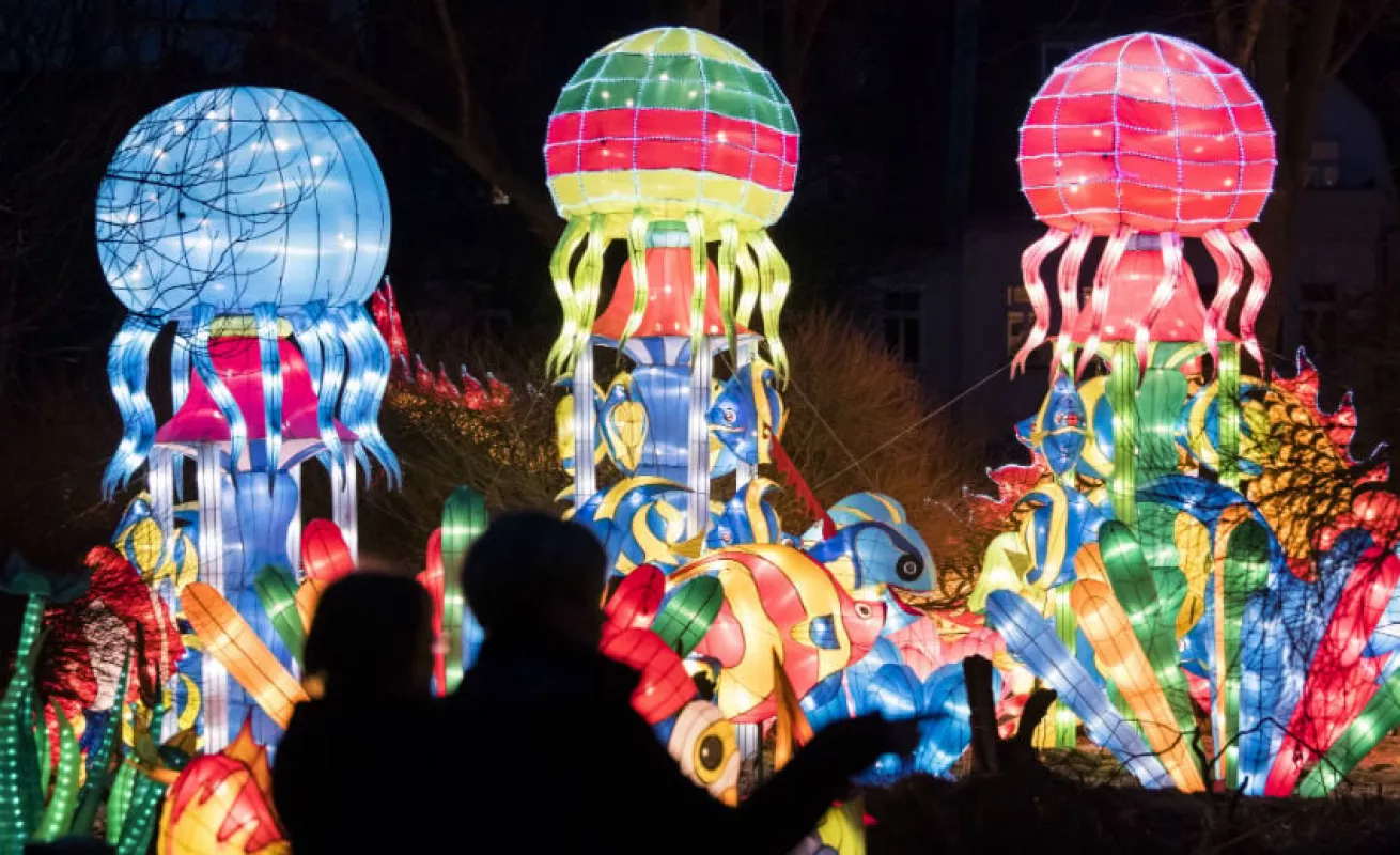 #GaleriaCri Festival 'Magic light worlds' en Alemania