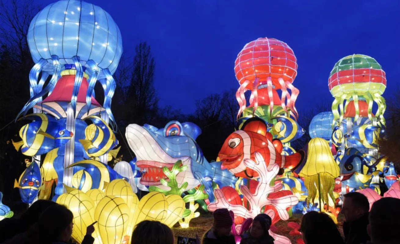 #GaleriaCri Festival 'Magic light worlds' en Alemania