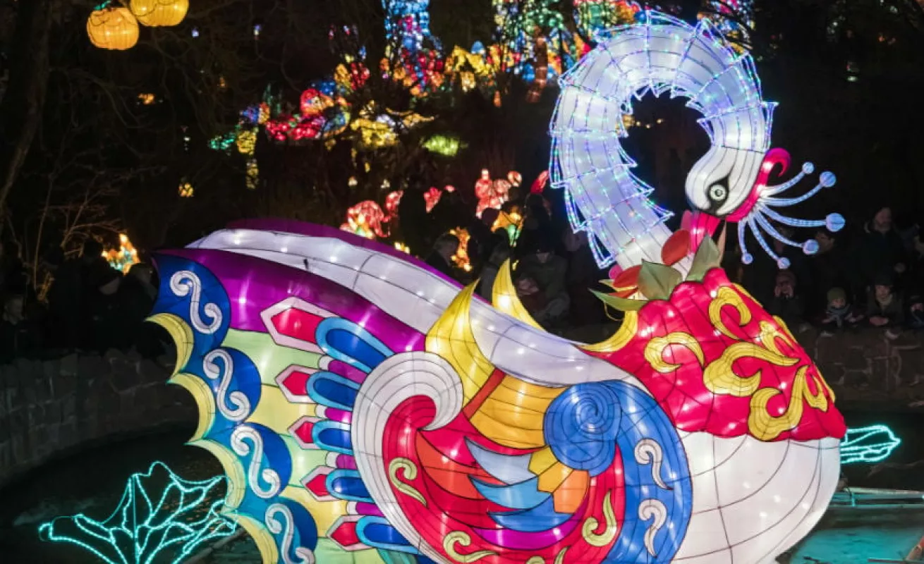 #GaleriaCri Festival 'Magic light worlds' en Alemania