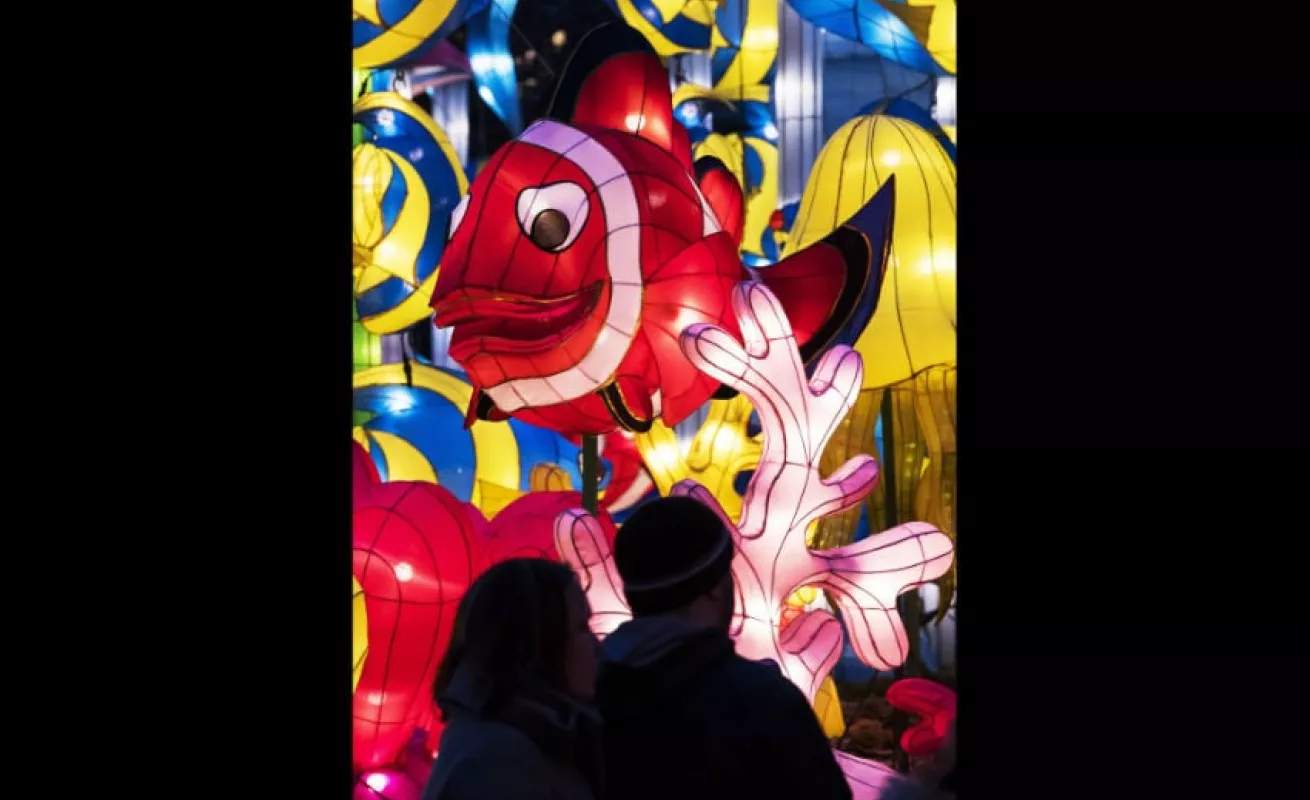 #GaleriaCri Festival 'Magic light worlds' en Alemania