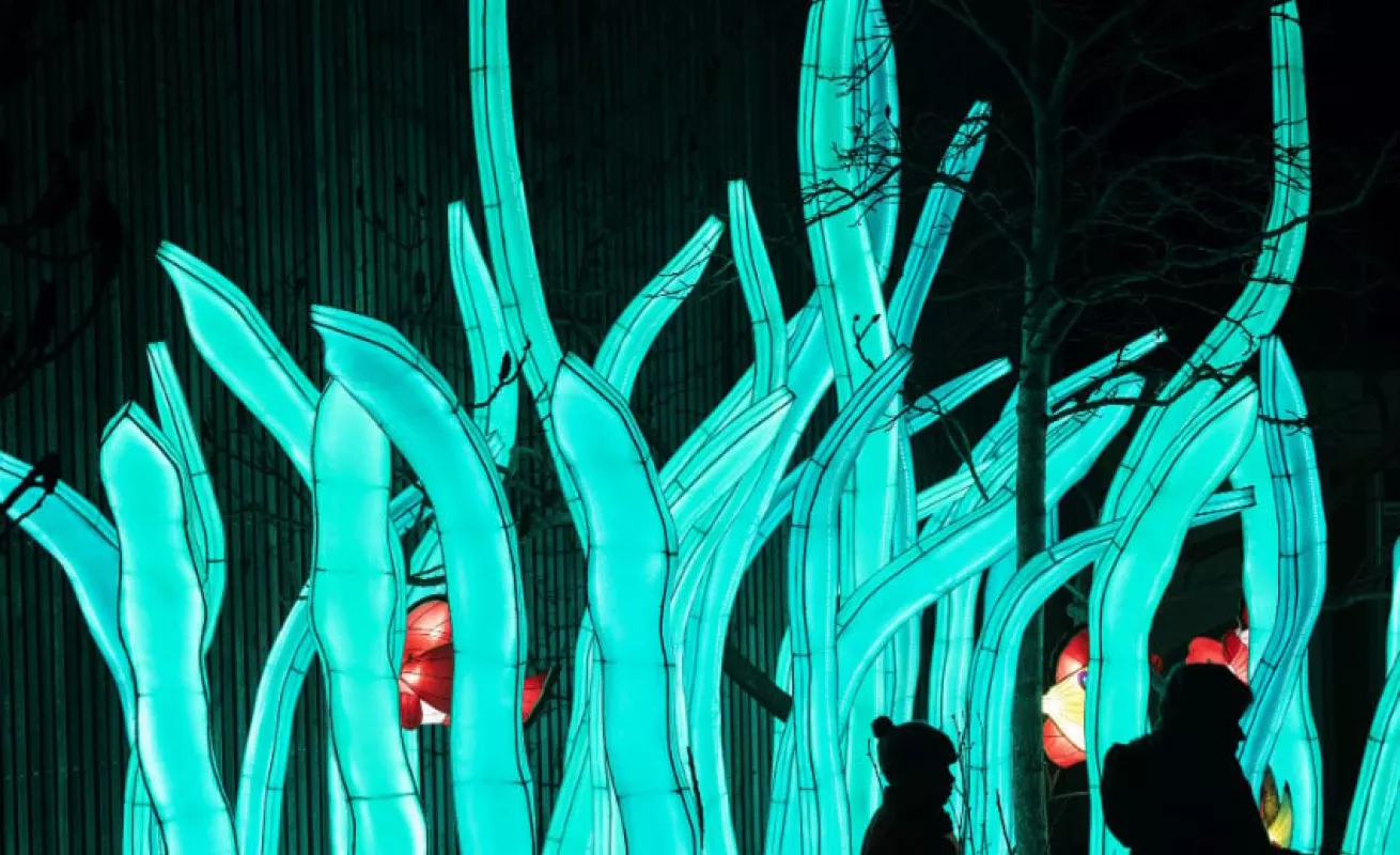 #GaleriaCri Festival 'Magic light worlds' en Alemania
