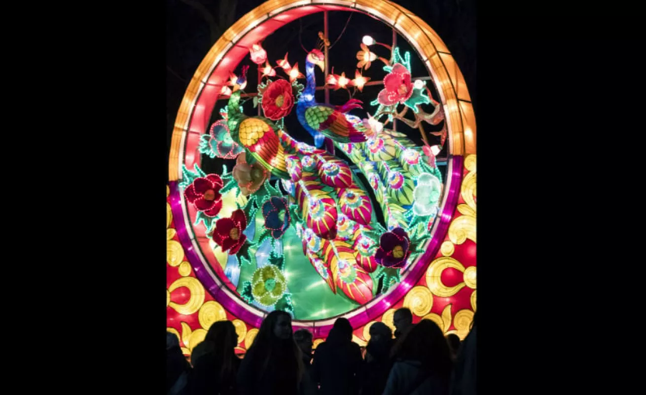 #GaleriaCri Festival 'Magic light worlds' en Alemania