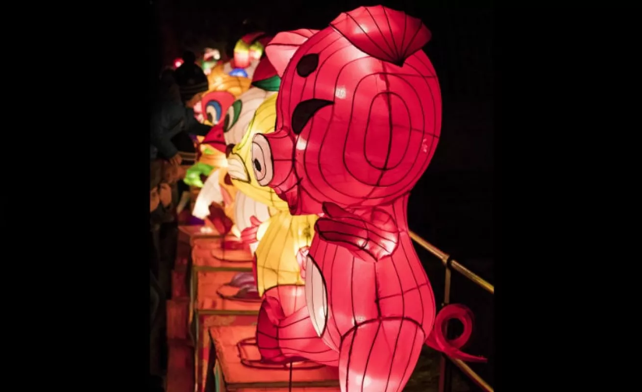 #GaleriaCri Festival 'Magic light worlds' en Alemania