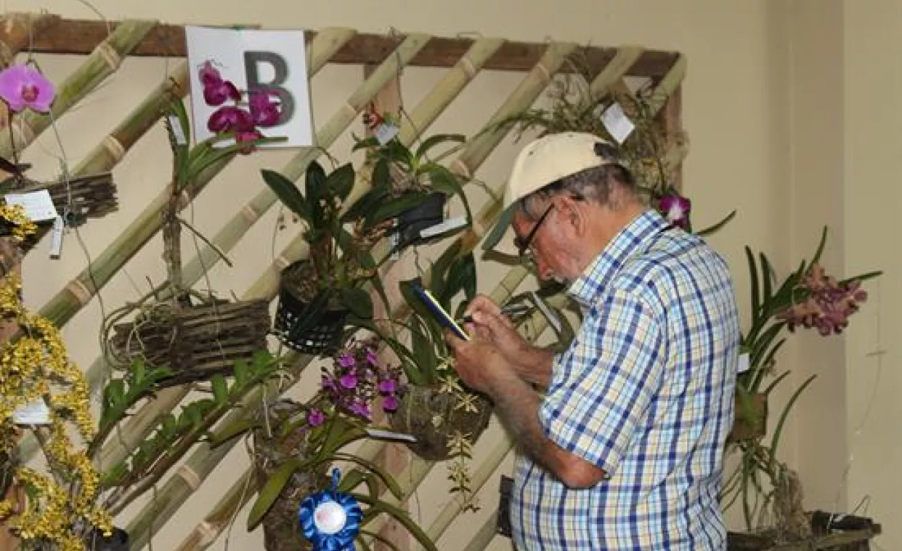 #GaleriaCri Hermosas orquídeas en Boquete