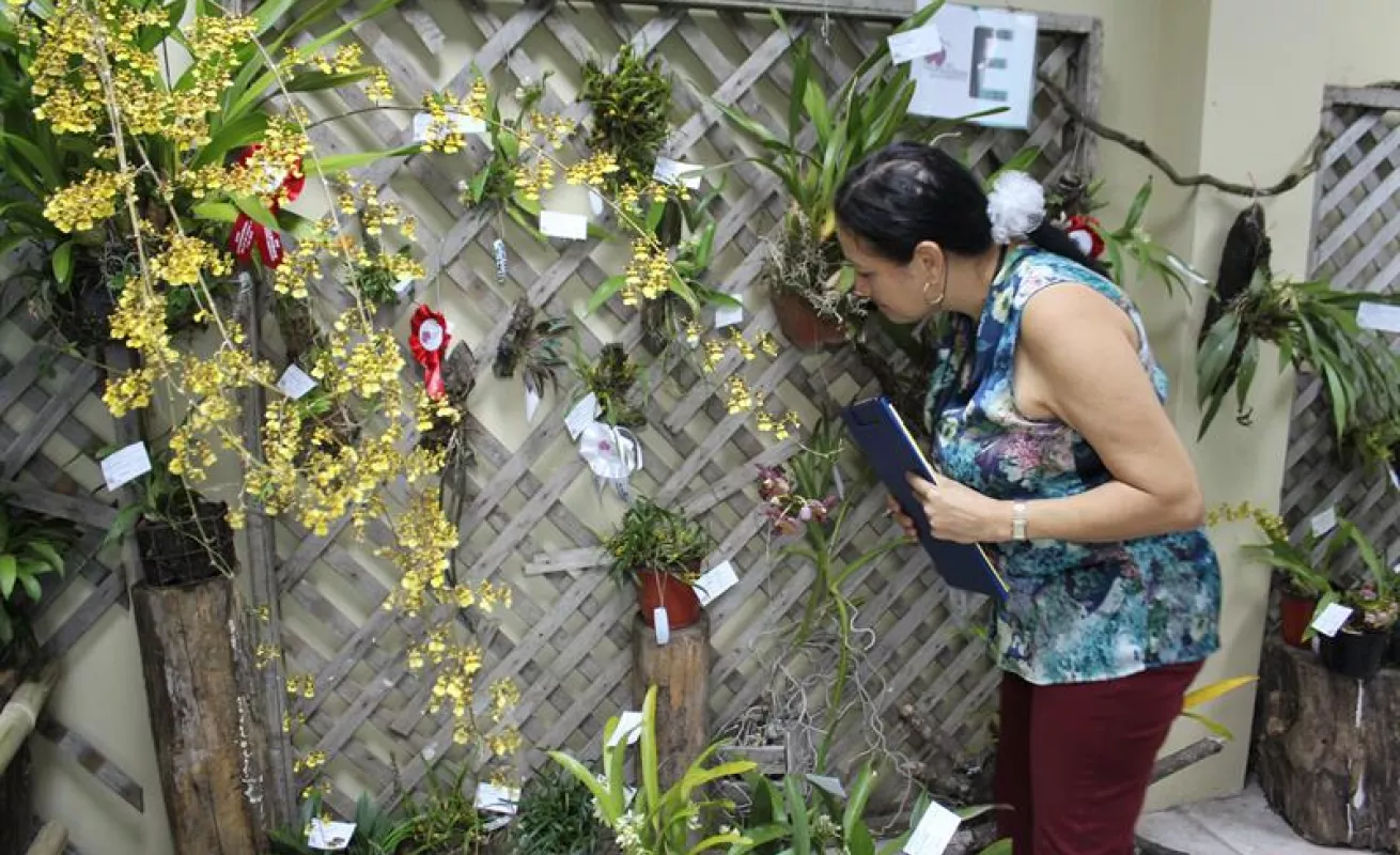 #GaleriaCri Hermosas orquídeas en Boquete