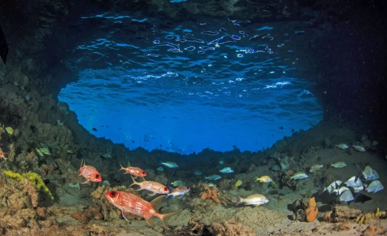 #GaleriaCri Inmersiones infinitas en las Bahamas 