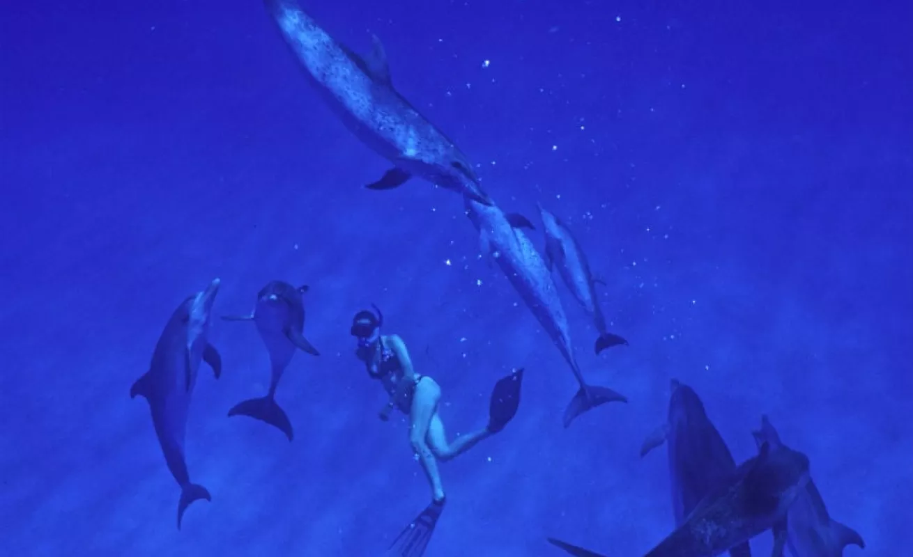 #GaleriaCri Inmersiones infinitas en las Bahamas 