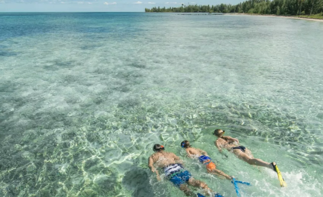 #GaleriaCri Inmersiones infinitas en las Bahamas 