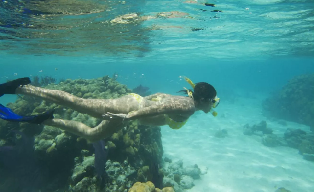 #GaleriaCri Inmersiones infinitas en las Bahamas 