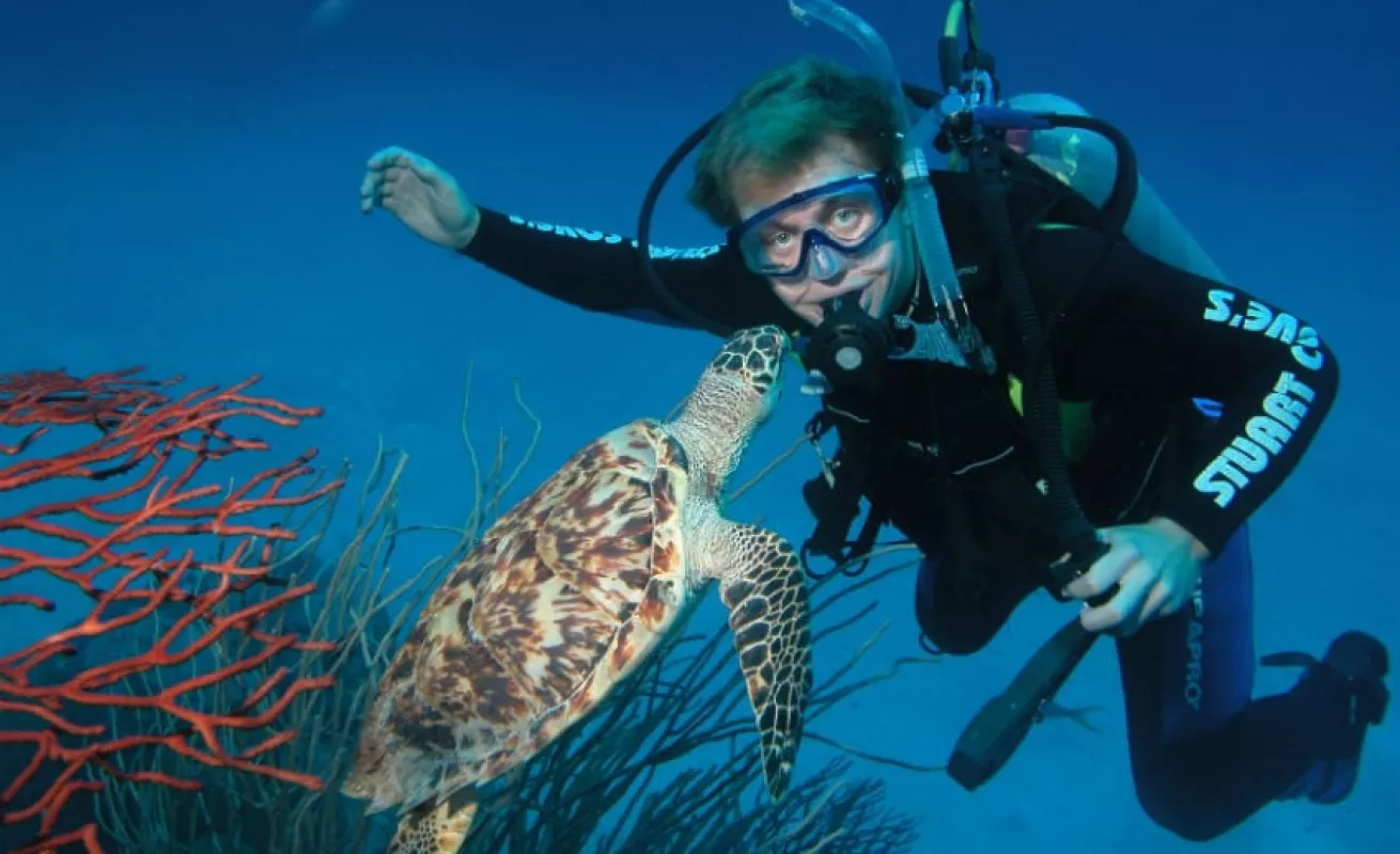 #GaleriaCri Inmersiones infinitas en las Bahamas 