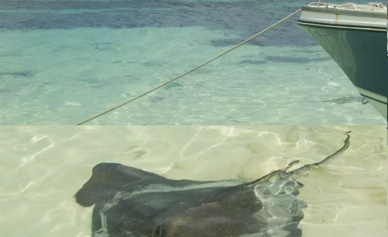 #GaleriaCri Inmersiones infinitas en las Bahamas 