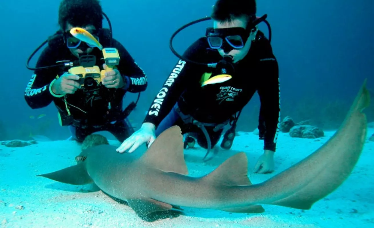 #GaleriaCri Inmersiones infinitas en las Bahamas 