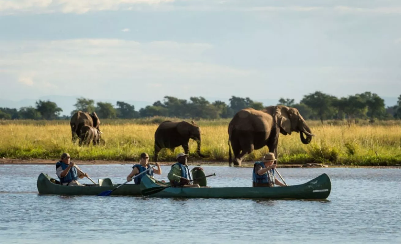 #GaleriaCri Safari fotográfico en Zimbabue