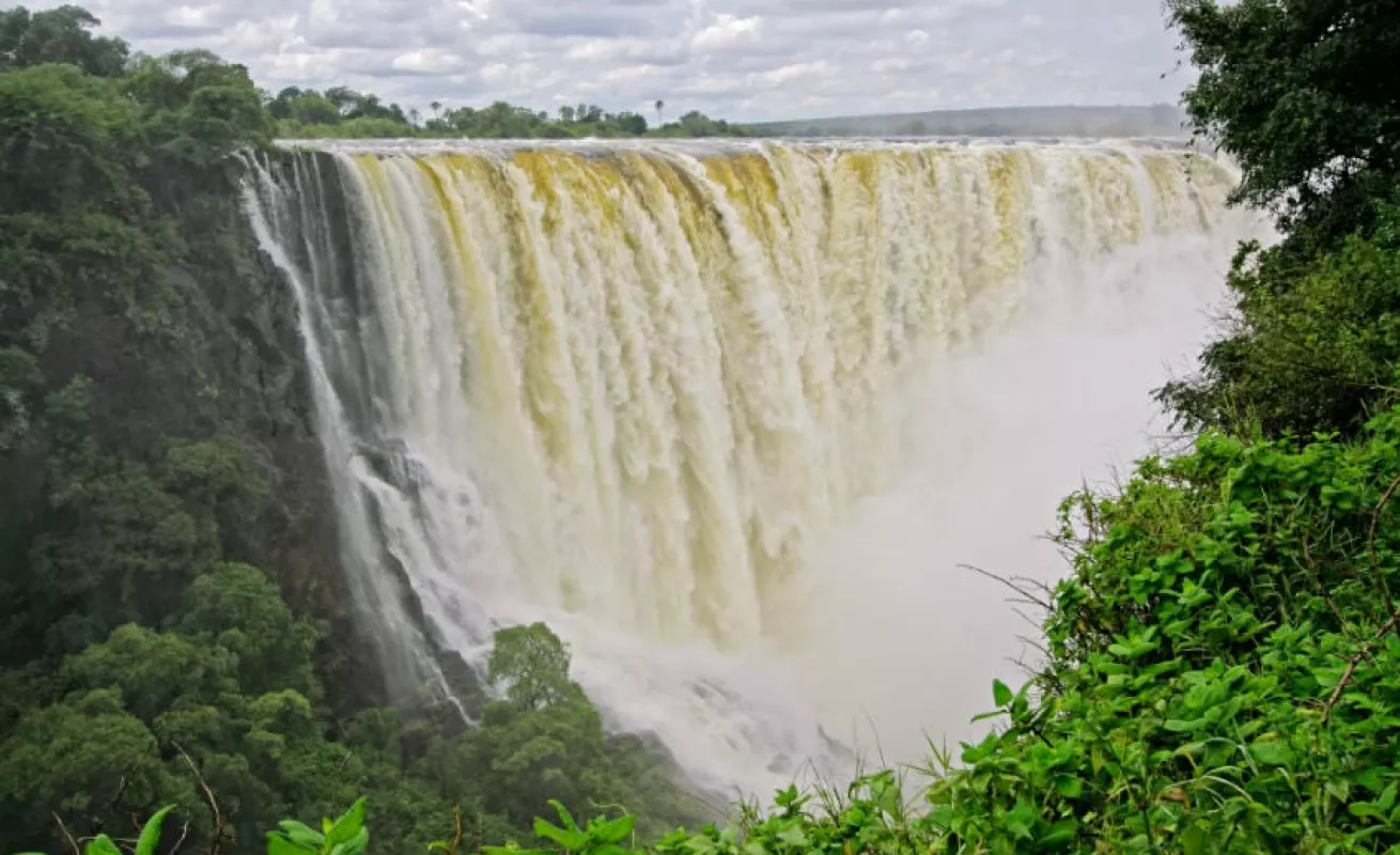 #GaleriaCri Safari fotográfico en Zimbabue