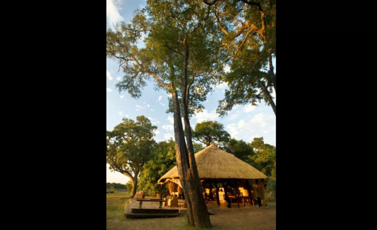 #GaleriaCri Safari fotográfico en Zimbabue