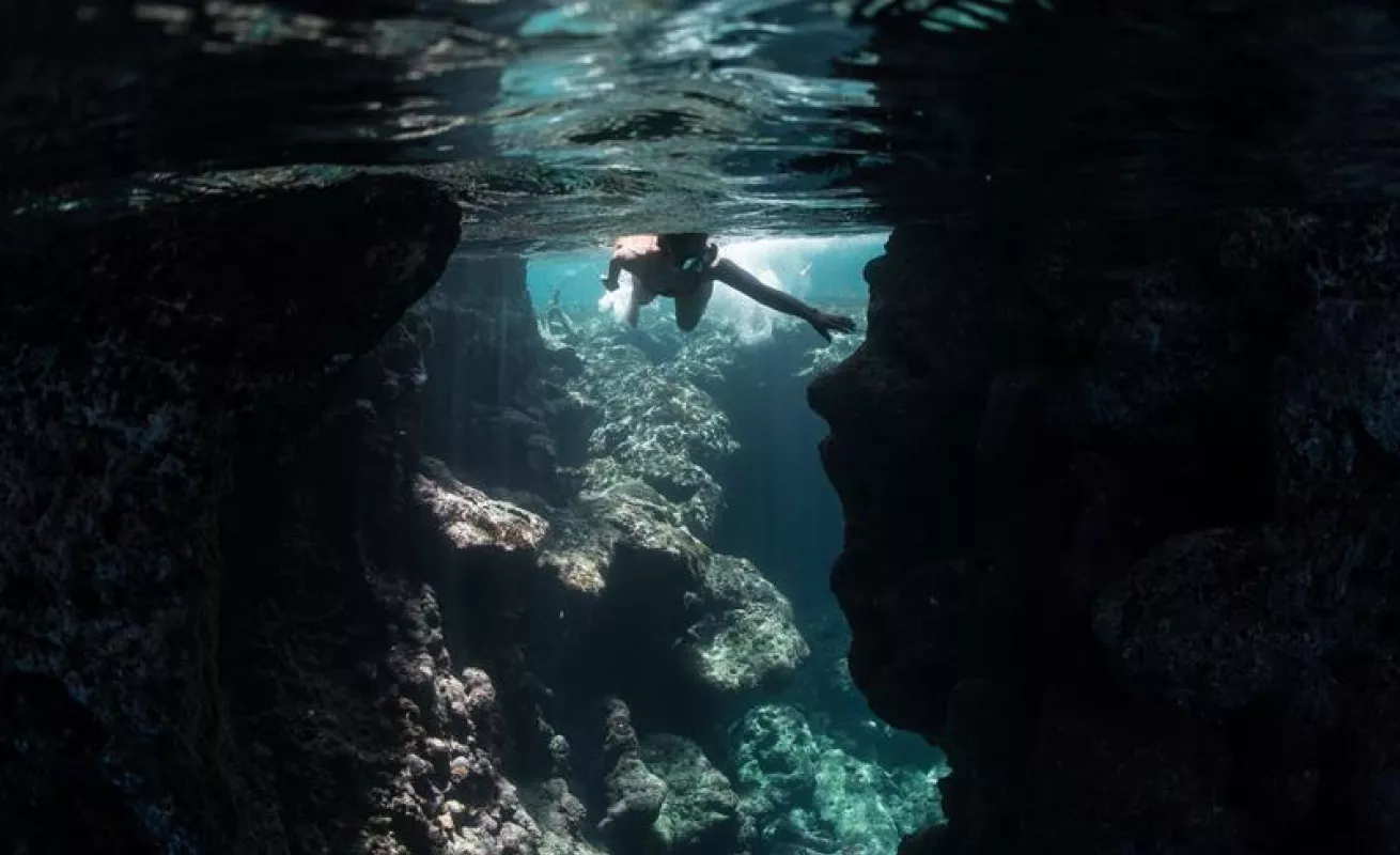 #GaleriaCri Tesoros de la naturaleza