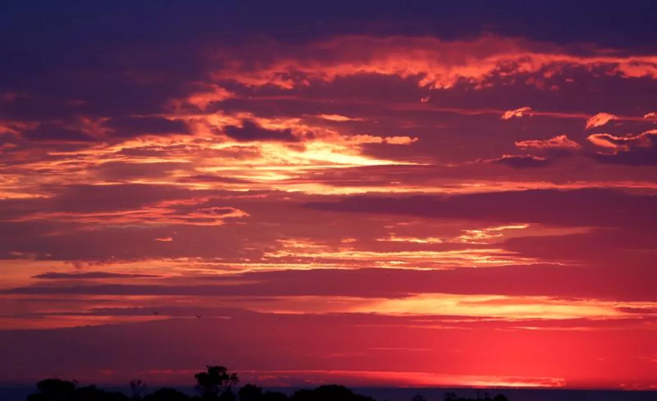 #GaleriaCri Fotos del día