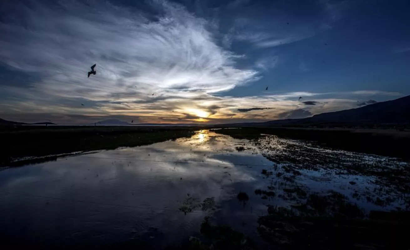 #GaleriaCri Fotos del día