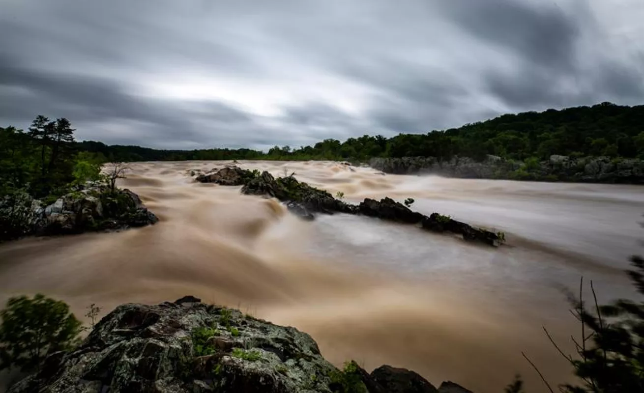 #GaleriaCri Fotos del día