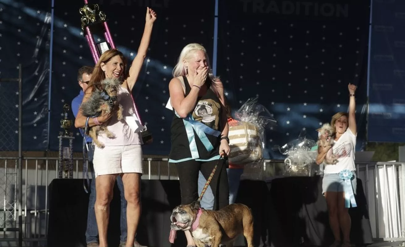 #GaleriaCri Bulldog inglés gana el título de perro más feo del mundo