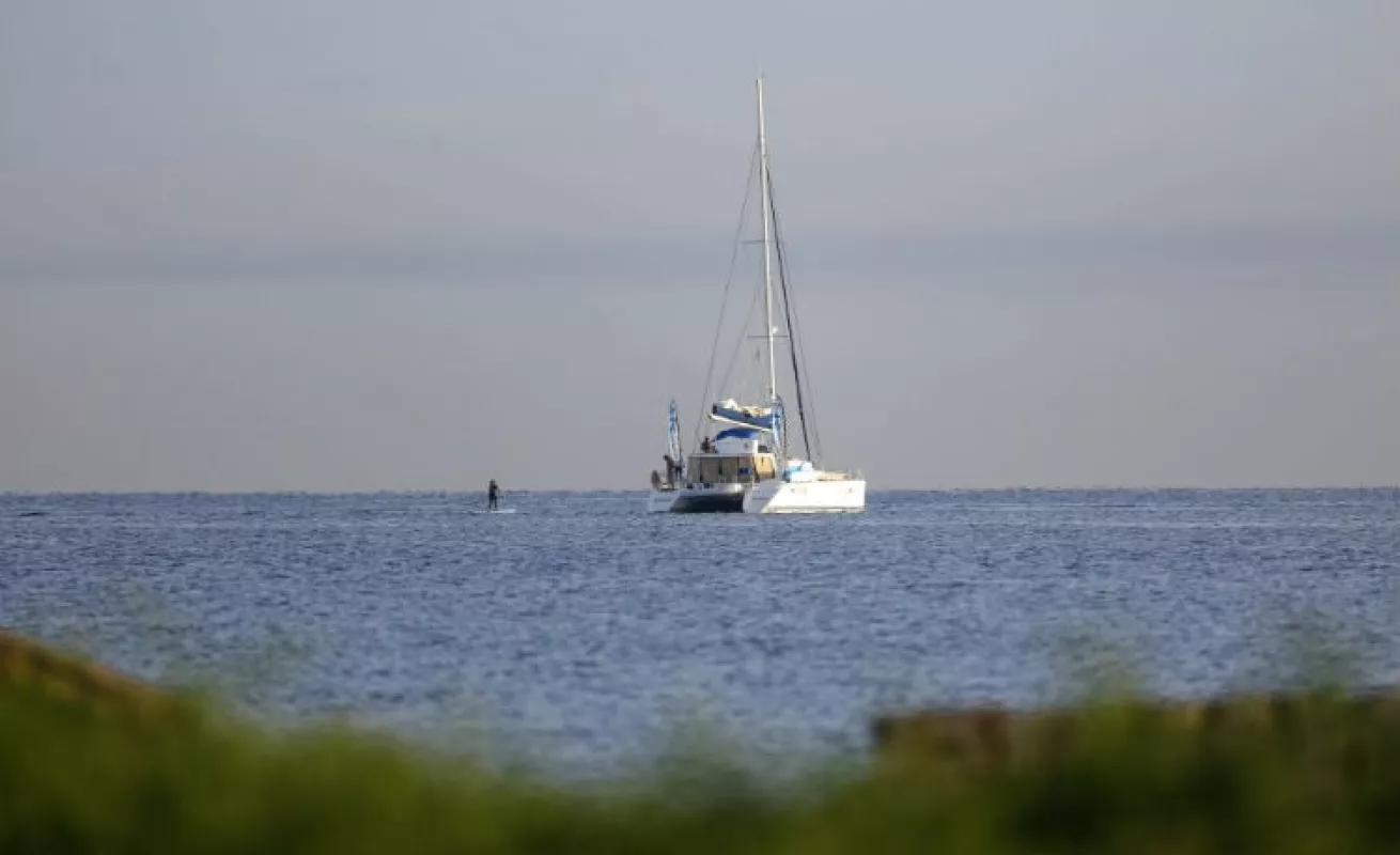 #GaleriaCri De Cuba a los Cayos de Florida sobre una tabla de surf