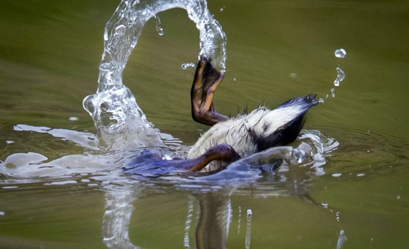 #GaleriaCri Postales del Mundo