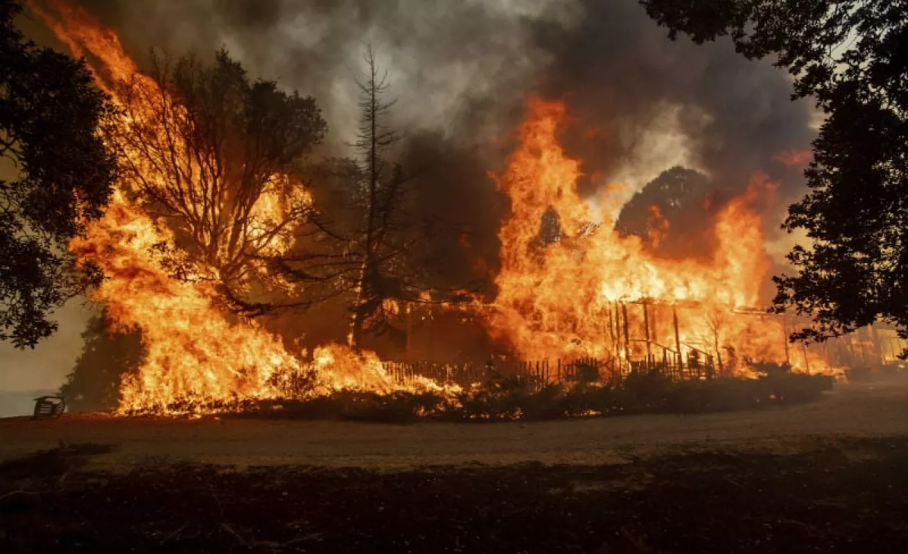 #GaleriaCri California devorada por las llamas