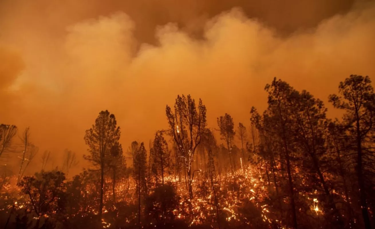 #GaleriaCri California devorada por las llamas