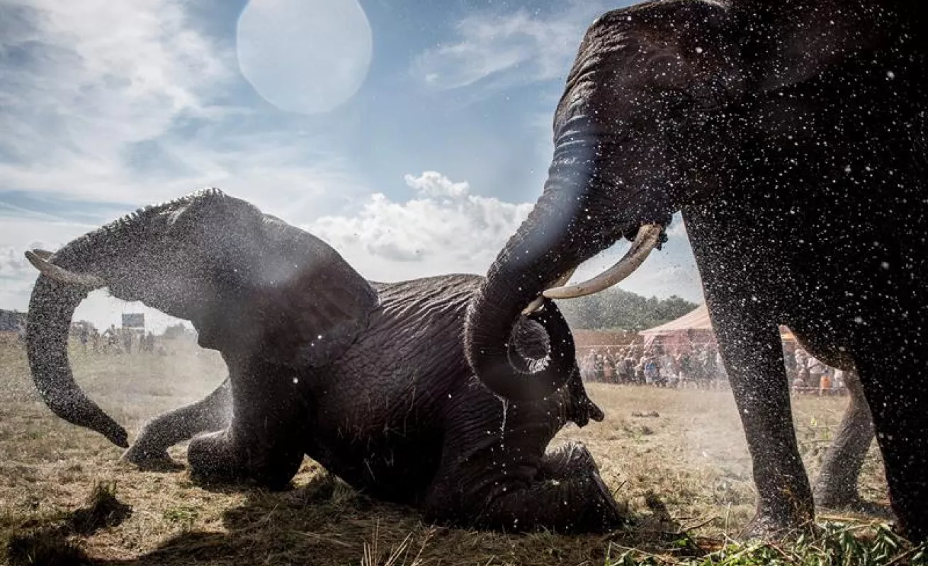 #GaleriaCri Media Europa asfixiada y en alerta por la ola de calor