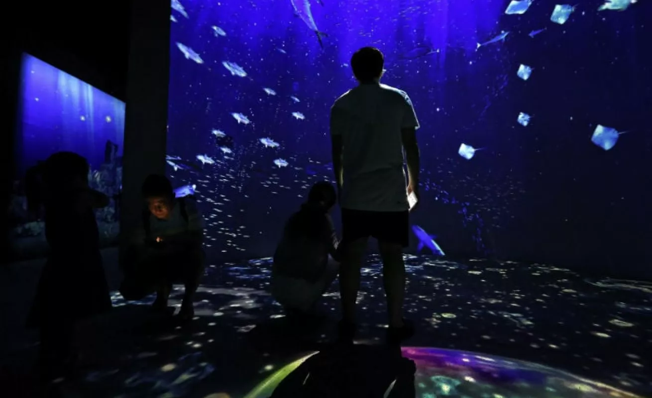 #GaleriaCri Vida diaria