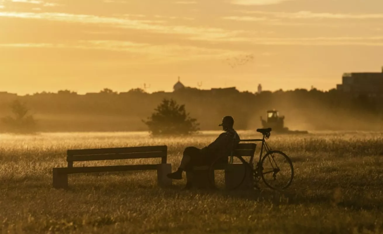 #GaleriaCri Vida diaria